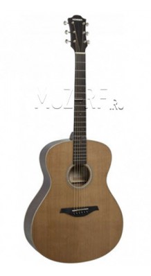 Hohner ER3-CG Гитара для музыкантов, играющих в стиле блюз - фото