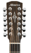 Двенадцатиструнная гитара